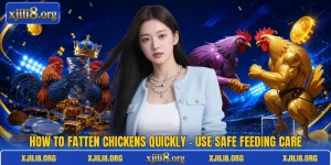 How To Fatten Chickens Quickly - Use Safe Feeding Care