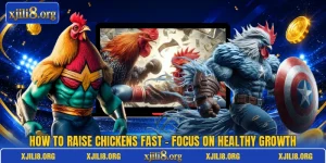 How To Raise Chickens Fast - Focus On Healthy Growth