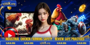 Industrial Chicken Farming Safety - Review Safe Practices