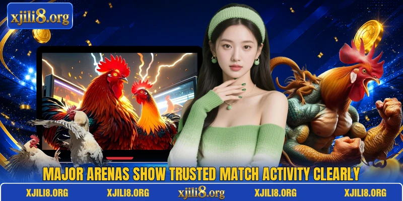 Major arenas show trusted match activity clearly Major arenas show trusted match activity clearly